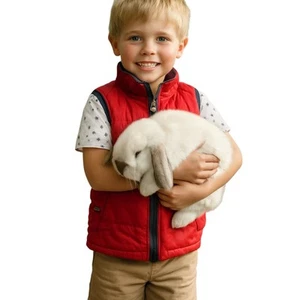 Carter's Puffer Vest Boys Kids 5 Red Full Zip Outerwear Winter Insulated Outdoor - Picture 1 of 9