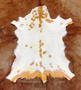 Goat Hide Pelt, Nordic Taxidermy, Spotted Natural Fur, Scandinavian Rug, 3x2 ft - Picture 1 of 9