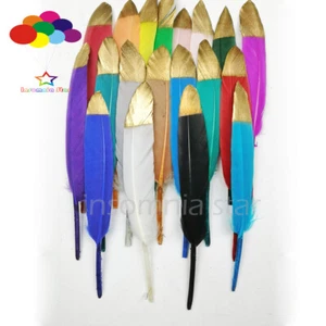 10 Stck. Mix Gold Kopf Entenfedern getrocknet 5-7 Zoll/13-16 cm Zum Selbermachen Karneval Kopfschmuck - Bild 1 von 32