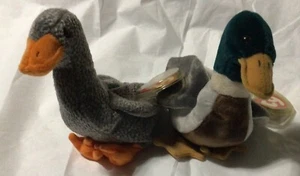 Two Beanie Babies Ducks Honks & Jake - Picture 1 of 4