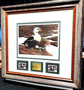 Nancy Howe 1991 Federal Duck Stamp Print Medaglione con doppi francobolli - Nuova cornice - Foto 1 di 6