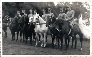 Hippique Horse Sports Países Bajos Brummen 1938 RPPC 06,69 - Imagen 1 de 2