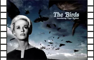 ALFRED HITCHCOCK PSYCHO BIRDS VERTIGO DRINKS COASTERS, FRIDGE MAGNETS & KEYRINGS - Imagen 1 de 59