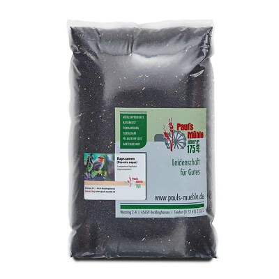 Rapssamen Raps Rapssaat doppelt gereinigt beste Qualität von Paul's Mühle - Bild 1 von 4