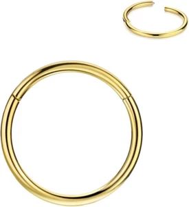 Cerchio Anelli Naso Cerniera Acciaio Chirurgico Uomo Donna 316L per Nostril Setto Cartilag - Foto 1 di 12