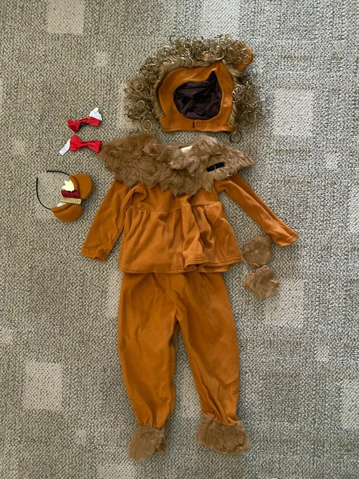 Disfraz de León de Oz valiente persiguiendo luciérnagas niño pequeño talla 4T 5T 6 (L) Foto 1 de 4