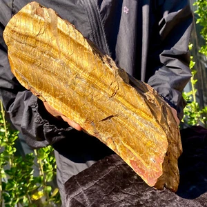 24,34 Pfund natürliches Tigerauge grober Rohstein Gestein Specimn Madage Auto - Bild 1 von 20