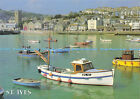 D144422 St. Ives from Smeatons Pier. Salmon
