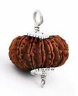 Authentic 18 Mukhi Rudraksha Collector's Bead - Lab Certified (A++) Size