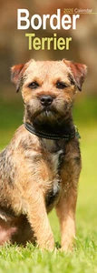 Border Terrier Slim 2026 Calendar | Slimline Dog Breed Gift 15% OFF MULTI ORDERS - Picture 1 of 8