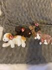 Selection Of Dog Beanie Babies From Ty
