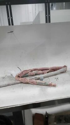 Used Right Curtain Air Bag fits: 2017 Mazda 6 passenger roof Right Grade A - Imagem 1 de 4