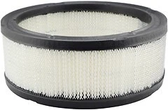 Filtro de aire para Córdoba, LeBaron, Newport, Town & Country, Aspen + Más PA650 Foto 1 de 4