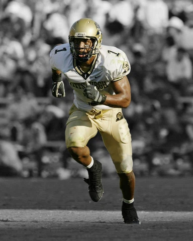 Pittsburgh Panthers LARRY FITZGERALD Glossy 8x10 Photo Spotlight Print Poster Cover