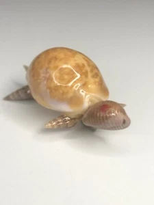 Vintage 1970s Sea Shell Tortoise Turtle Scatter Pin Handmade Real Shells 1.5”L - Picture 1 of 5