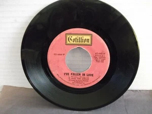C. And The Shells,Cotillion 44024,"I've Fallen In Love",US,7" 45, sweet soul, M- - Picture 1 of 1