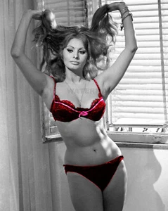 ACTRESS SOPHIA LOREN IN "YESTERDAY, TODAY AND TOMORROW" 8X10 PUBLICITY PHOTO - Picture 1 of 1