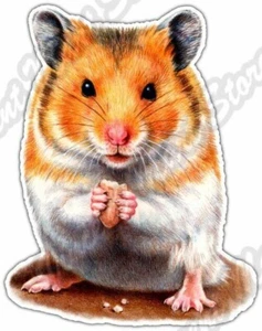 Hamster Rodent Critter Pet Pets Car Bumper Window Vinyl Sticker Decal 4"X5" - Picture 1 of 1