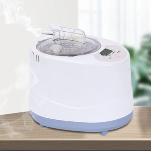 3L Gaseinspritzmaschine Dampfgenerator Dampfgerät Home SPA Sauna Steam Generator - Bild 1 von 8