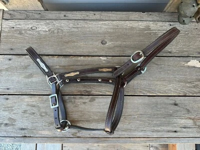 Horse Tack - Leather Show Halter - Image 1 of 4