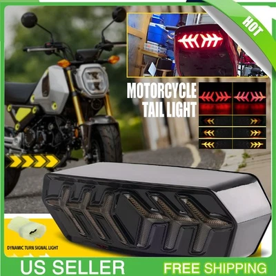 Luz de circulación LED de freno trasero para Honda CTX 700 / CTX 700N / CTX 700 DCT 2014-19 Foto 1 de 4