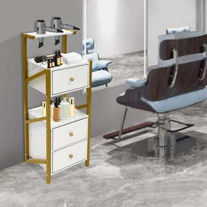 Salon  Storage Cabinet with 3 Drawers & Hair Dryer Holder - Heavy-Duty - Picture 1 of 18