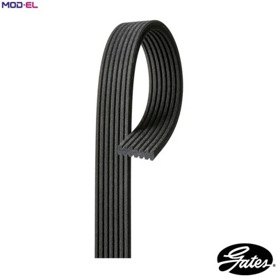 VRIBBED BELT 7DPK1560 FOR VW BRK/BKL/AYT 3.2L 6cyl PHAETON - Image 1 of 4