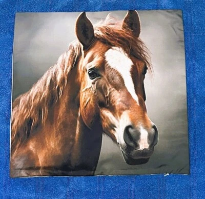 Throw Pillow Cover Shell Horse (NO PILLOW INSERT - SHELL ONLY) 17 x 17 - Image 1 of 2