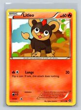 Litleo #22/114 XY - Steam Siege Common - Pokemon Cards E1