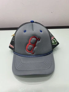 Boston Red Socks Mour Cap Foam & Mesh Snapback Hat Grey ( Sold Out ) Rare - Picture 1 of 21