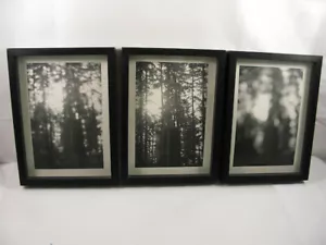 California Redwoods Triptic B&W Original handgefertigte Kunstfotos gerahmt - Bild 1 von 12