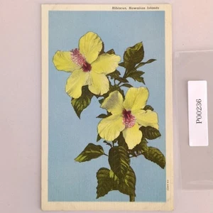 Postal de lino vintage de hibisco de las islas hawaianas de Hawaii de los años 30 con flores - Imagen 1 de 2