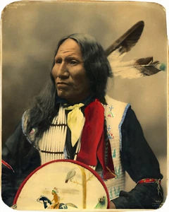 1899 Schläge mit Nase Oglala Sioux Häuptling Indianer Indianer Kunst Poster Prin - Bild 1 von 2