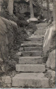 RPPC ME Real Photo Postcard Park Path Arcadia National Park Mt Desert Maine - Picture 1 of 2