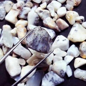 Lote de piedras preciosas sueltas 100 % ópalo dendrita natural excelente áspero de 300 quilates - Imagen 1 de 7