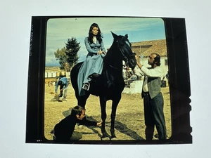 Uschi Glas BLACK BEAUTY - 1971 Vintage Original Movie Photo 4x5 Transparency - Picture 1 of 2