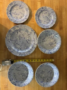 Set Of 6 Assorted Spode Penny Lane Honeywall Light plates and bowls  - Picture 1 of 6