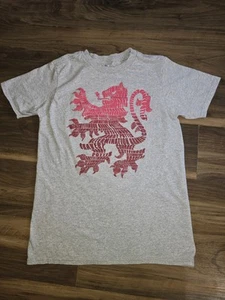 Harry Potter Youth Boys Gryffindor T-Shirt Sz Large - Picture 1 of 4
