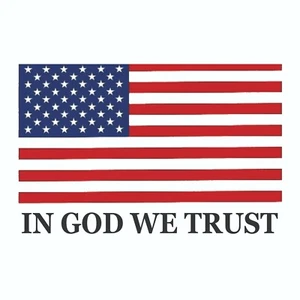In God We Trust with American Flag Sticker - Decal - Picture 1 of 2