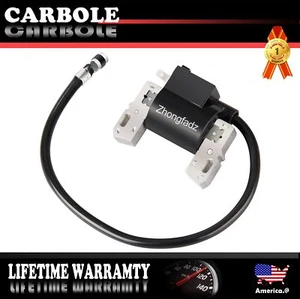 Bobina de encendido para Briggs Stratton 492341 490586 491312 495859 715231 591459 - Imagen 1 de 11