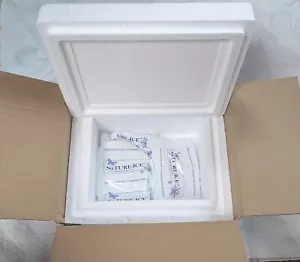 Insulated Foam Container 8"x6"x 4" ID -W/reusable ice gel packs in Shipping Box - Picture 1 of 5