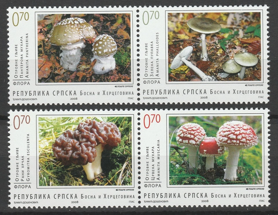 4 selos MNH de cogumelos da Bósnia Herzegovina 2008 sérvios - Imagem 1 de 1