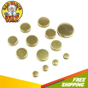 Engine Expansion Plug Kit Fits 97-04 Ford Mercury Escort Focus Tracer 2.0L SOHC - Picture 1 of 1