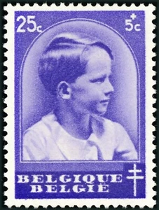 Belgium #YT439 MH 1936 Baudouin Tuberculosis [B181] - Picture 1 of 1