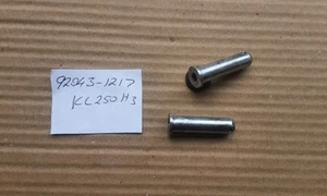 92043-1217 ? 10mm footpeg pivot pin for off road KAWASAKI models, KL/KX/KDX. - Picture 1 of 3