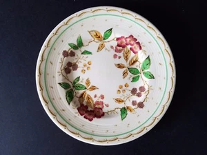 WOODS BURSLEM 'BRAMBLE' Floral Brot und Butter TELLER 6,5" Vintage ANTIK - Bild 1 von 7