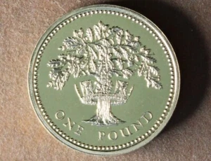* Moneda de libra de roble coronado 1992 sin circular ex conjunto punto de tonificación #jov13 - Imagen 1 de 8