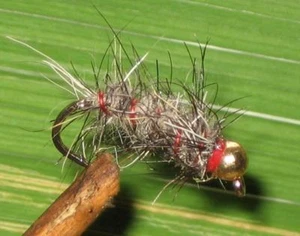 Gilchrist Fliegen. 3 x TUNGSTENNYMPHEN CASED CADDIS. Mit und ohne Widerhaken - Bild 1 von 1