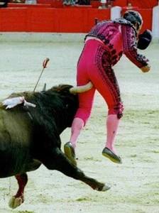 MATADOR POSTER Amazing Funny Bull Fighting Shot RARE - Picture 1 of 1