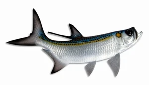 Hand Painted 28" Tarpon Fish Salt Water Fishing Wall Mount Decor Sculpture 75T - Picture 1 of 3